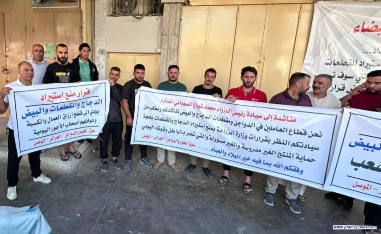 تجار الموصل يحتجون على قرار منع استيراد اللحوم.. والزراعة العراقية ترد: الأسعار مستقرة